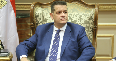 ضياء رشوان أمام حقوق إنسان البرلمان لتنسيق الرد على الادعاءات ضد مصر الإثنين