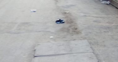 صور.. قارئ يطالب برصف شارع النيل بمنطقة الوراق بالجيزة