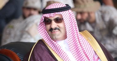 الرافعات السعودية تعبر "الوديعة" إلى مينائي عدن والمكلا باليمن.. صور