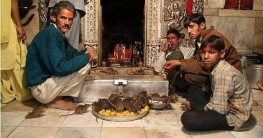"يأوى 20 ألف فأر".. تعرف على قصة معبد "كارنى ماتا" فى الهند