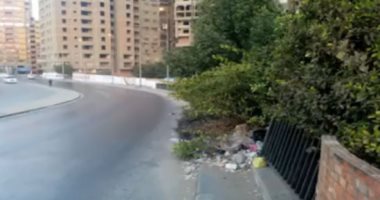 شكوتك بصوتك.. شجرة تهدد حياة المواطنين فى نزلة الدائرى بالمنيب.. فيديو