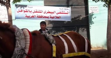 صور.. وكيل "بيطرى الغربية" يترأس قافله علاجيه بقرية نهطاى