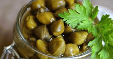 دلع جسمك بنبات الكبر.. يحميك من السرطان ويعالج فقر الدم