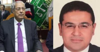 تفاصيل قانون الأسلحة والذخائر بعد انتهاء مجلس الدولة من مراجعته وإرساله للبرلمان