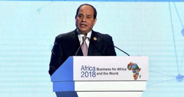 السيسي: إنشاء صندوق للاستثمار فى البنية التحتية المعلوماتية لتطوير إفريقيا