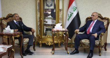 سفير مصر فى العراق:  القاهرة وبغداد يشكلان قوة العرب