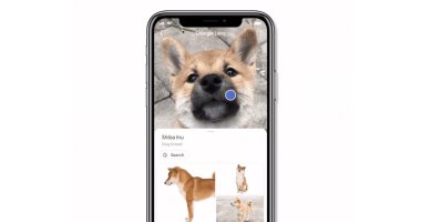 جوجل تضيف ميزة Lens لتطبيق بحثها.. اعرف إزاى تستخدمها