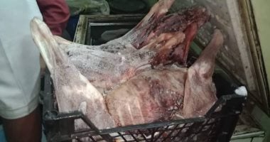 محكمة جنح حلوان تقضى بحبس فطاطرى 3 سنوات بتهمة بيع لحوم حمير