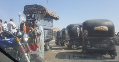 قارئ يشكو انتشار الكلاب الضالة والتكاتك بمدخل الحى الرابع بـ6 أكتوبر