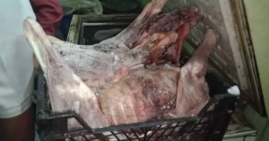 النيابة تأمر بضبط المتهمين بذبح الحمير وبيع لحومها للمواطنين بشبرا الخيمة