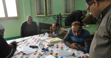 اليوم.. إجراء الانتخابات التكميلية لمجلس النواب بثلاثة دوائر