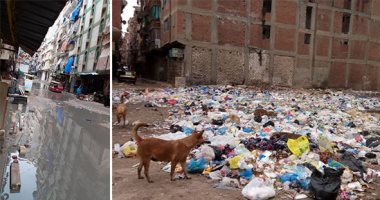 صور.. أهالى "الفلكى" بشرق الإسكندرية يشكون تفاقم أزمات المنطقة.. التوك توك وفرش المقاهى إشغالات يومية تحتل الأرصفة.. نائب دائرة المنتزه يطالب بشبكة صرف صحى جديدة.. ومسئول: إحلال وتجديد الشبكة قريبا