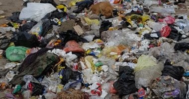 منظر غير حضارى.. تراكم القمامة فى منطقة أثرية بميدان المسلة بالمطرية 