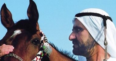 حاكم ورياضى وشاعر.. اقرأ آخر قصيدة للشيخ محمد بن راشد عن الفروسية