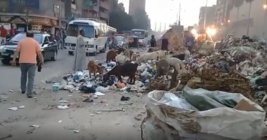 شكوى من تلال القمامة والمواقف العشوائية فى شارع كريستال عصفور بشبرا الخيمة