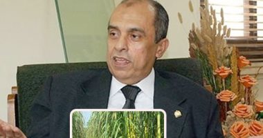 "رفع سعر قصب السكر" يتجه نحو الحل.. لجنة وزارية لوضع السعر الحقيقى.. والبرلمان يجرى حوارات مع الفلاحين للاستماع لمقترحاتهم.. زراعة النواب: ننتظر انتهاء لجنة حساب التكلفة من عملها.. ومطالب بزيادة سعره لـ1000جنيه