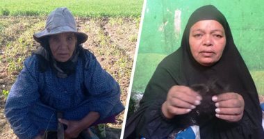 "كلهم نحمدو".. حكايات ستات مصر المكافحات.. آمال من العمل فى الحقول لتربية أبنائها.. ابنة الشرقية: أعمل فى الوسية منذ كان عمرى 7 سنوات وزوجت ابنائى الأربعة.. وأم محمد تبيع الطواقى فى الأسواق ودخلها 20 جنيه يوميا