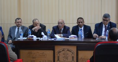 مفيد شهاب مشيدا بقرار الرئيس: أسوان حلقة الوصل مع القارة السمراء