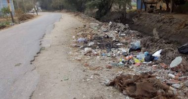 شكوتك بصوتك.. أهالى عزبة الشيخ تاج الدين يطالبون برصف طريق القرية بالشرقية