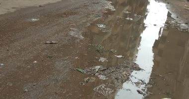 صور.. قارئ يشكو من انتشار القمامة والمجارى بجوار استراحة المحافظ فى بنها
