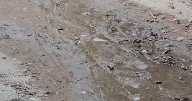 قارئ يطالب برصف شارع طارق بن زيادبحى شارع طارق بن زياد فى حلوان