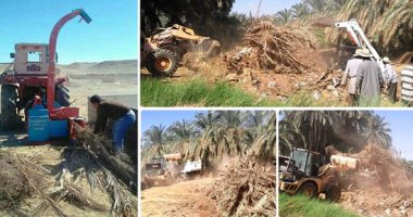 صور.. "الوادى الجديد" تحول مخلفات النخيل إلى كنوز بيئية.. المحافظة تنفذ خطة شاملة للقضاء على خطر حرقها.. تسهيلات لإقامة مشروعات بالداخلة لتدويرها وإنتاج السماد والأخشاب.. واستخدامها لإحياء حرف تعكس تراث الواحات
