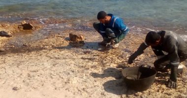 لجنة عاجلة من وزارة البيئة لبحث تلوث زيتى برأس غارب
