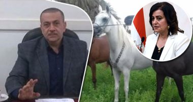 "الخيل المصرى" يغزو الأسواق الأوروبية والعربية بفتح 5 أسواق جديدة.. "الزراعة": تصدير 75 حصانا و13 جوادا معدا للسفر.. نائب الوزير: نطبق الإجراءات الصحية والمحجرية.. ولدينا 15 ألف خيل مسجل بالزهراء و1600 مزرعة