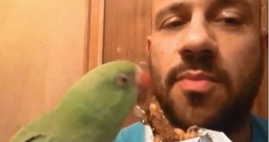 شاهد.. "بغبغان" أحمد مكى يشاركه فى أكل قطعة شيكولاته