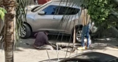 قارئة تشكو قيام مجهولين إتلاف رصف فى شارع ابن الوليد بجوار نادى الصيد بالدقى