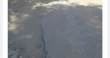 شكاوى من طريق بلبيس -أبو سمران البحر بالشرقية.. ومطالبات برصف الطريق