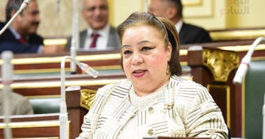 مجلس النواب يوافق على تشكيل المجلس القومى لذوى الإعاقة من 19 عضوا