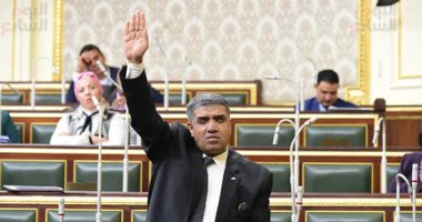 مجلس النواب يوافق على المادة المنشئة للمجلس القومى لذوى الإعاقة