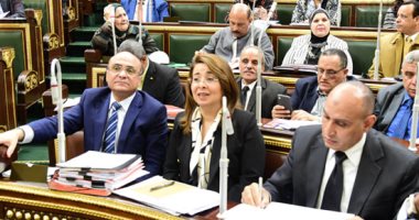 البرلمان يوافق مبدئيا على مشروع قانون المجلس القومى للأشخاص ذوى الإعاقة