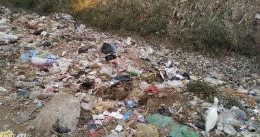 شكوى من تراكم القمامة على ضفاف النيل فى طنطا  
