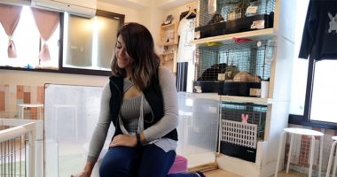 اتفضل أرنب.. مقهى غريب للتسلية مع الأرانب فى العاصمة اليابانية طوكيو