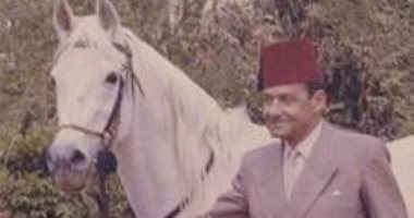 معلومة × صورة .. اعرف قصة حصان الملك فاروق.. بيع فى مزاد بعد الثورة