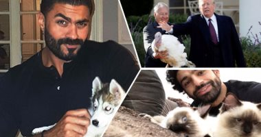 أشهر 10 حيوانات حديث السوشيال ميديا × 2018 .. اعرف قصصها
