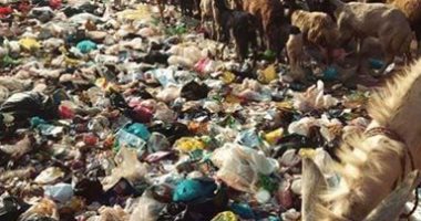 قارئ يشكو من انتشار القمامة بمنطقة كوبرى قرية "ميت نما" بالقليوبية