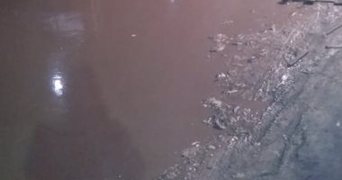قارئ يشكو من انتشار مياه الصرف الصحى بشارع الفاروق بمنطقة بشتيل بالجيزة