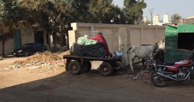 اضبط مخالفة.. الوحدة الصحية بمنشأة العباسة بالشرقية خالية من الأطباء