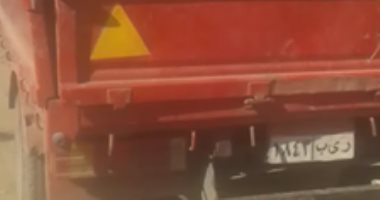 قارئ يطالب بوقف مذبحة أشجار عملاقة بقرية بهنباى بالزقازيق 