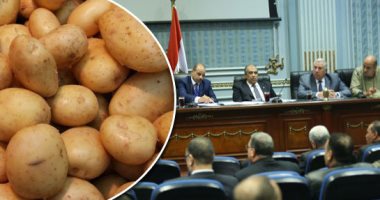 مستوردو تقاوى البطاطس تحت مجهر البرلمان.. سعر الطن يصل لـ46 ألف جنيه.. "زراعة النواب" تفتح الملف.. الشعينى: اجتماع موسع لحل الأزمة ووضع الضوابط.. وكيل اللجنة: على الدولة أن تستورد وترحم صغار الفلاحين