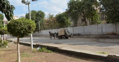 محافظ الجيزة يضبط سيارة كارو أثناء نبش صاحبها بصناديق القمامة بالدقى