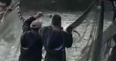 "كل يوم" يعرض إنجازات الدولة فى الاستزراع السمكى خلال 2018