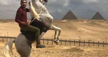 قارئ يشارك بصور لجمال الخيالة والأهرامات فى الجيزة