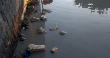 قارئ يطالب بتوصيل الصرف الصحى لقرية منشأة دهشور بالجيزة