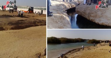 الأمم المتحدة تدعو المشاركين فى COP27 إلى زيارة محميات "رأس محمد ونبق وأبوجالوم"