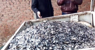 صور.. ضبط 6 طن أسماك نافقه قبل بيعها فى الأسواق بالبحيرة