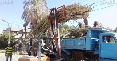 شاب فى الوادى الجديد ينجح فى تحويل مخلفات النخيل المسببة للحرائق لسماد حيوى